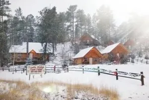 Image of 3 Custom Built Log Cabin Bordered by Black Hills National Forest