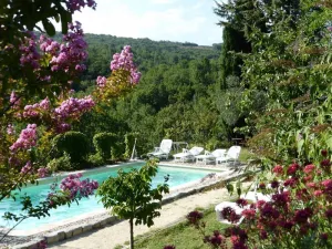 Image of Charming apartment in large XVII Mas, swimming pool and garden