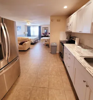 Image of Spacious studio with garage