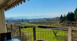Image of Ferienwohnung Weinberg-Idyll - Traumhafter Blick über Weinberge auf den Bodensee