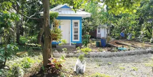 Image of A Tiny Homes Enclave