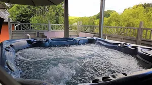Image of Holiday home for sole use, garden sauna, outdoor whirlpool, WLAN, play barn