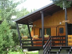 Image of Chalet 4\/5 people in Pyrénées 2000 in a pine glade near Font Romeu