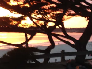 Image of Steps To Carmel Beach, in the golden rectangle. The perfect location!