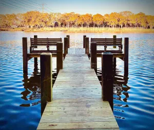 Image of The Lone Oak River Retreat on The San Bernard River - Fisherman's Paradise!