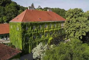 Image of The beautiful Blue at Schloss Hollenburg