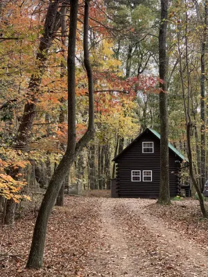 Image of Newly remodeled log cabin near DeSoto State Park & Mentone