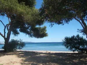 Image of EXCEPTIONAL S. Berriau BEAUTIFUL T3 waterfront \/ garden level-Direct access plag
