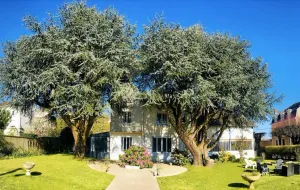Image of TOWNHOUSE WITH GARDEN IN QUIET NEIGHBORHOOD