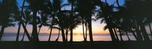 Image of Palm Cove Penthouse Ocean Front