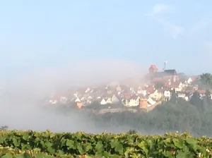 Image of Apartment in fantastic location with view to the wineyards and the forrest