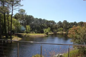 Image of Modern villa;   3 rooms in a golf area