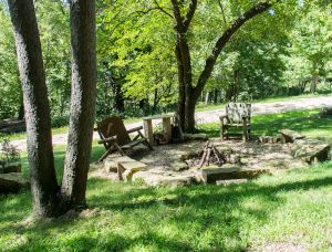 Image of Explore the heart of the driftless area! The Carriage House awaits your arrival!