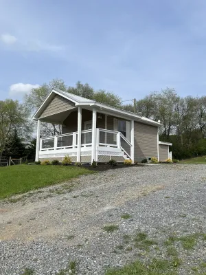 Image of Tiny house and tiny horses