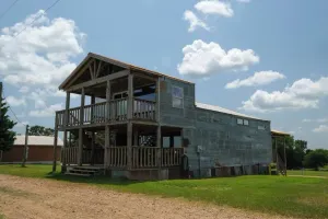 Image of Center Stage Yellow Rose Canyon