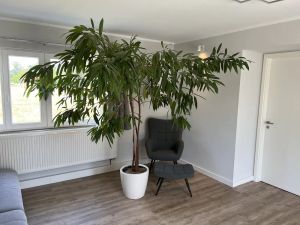 Image of Space for the whole family - bungalow with a large plot