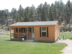Image of American Pines Cabin, 5 Miles from Mt. Rushmore!