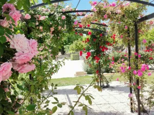 Image of House in Provence Lavender (pool + air conditioning)