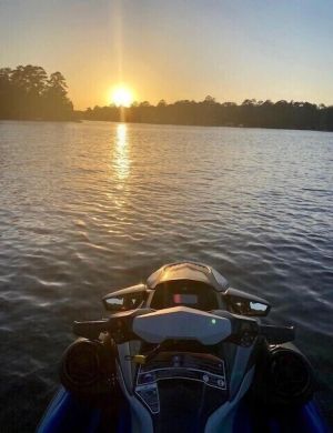 Image of Lakefront cottage located in forested East Texas