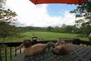 Image of Vaquero on French Broad River valley near Brevard, one level, Dogs OK, free Biltmore Pass