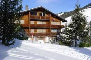 Image of Well-kept apartment in the Swiss mountains (whether Interlaken)