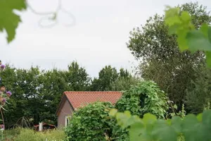 Image of Country cottage in the middle of nowhere (fenced garden)