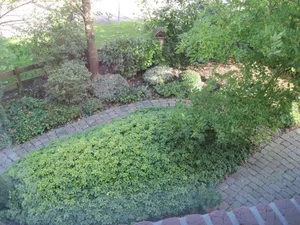 Image of Wohnung nahe Jacobs Uni und Knoops Park