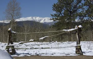 Image of Graduation Weekend Special May 8-11 at Quartz Point Ranch! 20 acres to roam!