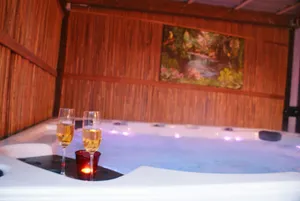 Image of Your dream villa | Villa Olsberg