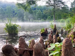 Image of Scenic Hidden Gem: Private Hot Tub, Golf & Fishing on Peaceful 42 Acres