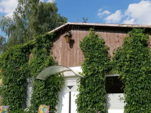Image of Apartment at the Diemitzer lock (99123) - apartment at the Diemitzer lock