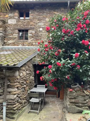 Image of Come stay in our Little Nest