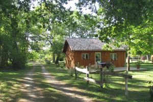 Image of Chalet Bois au Coeur de la Forêt des Landes