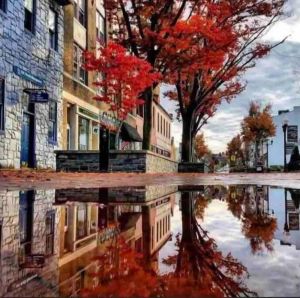 Image of Historic District Downtown Winchester