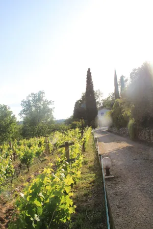 Image of A haven of peace in Provence