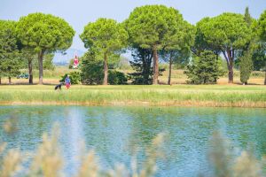 Image of Studio rustique sur le terrain de golf