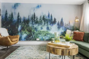 Image of Keyless, KING bd, WIFI, desk, Fox River Bike Trail, near MetraTrain