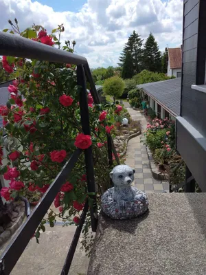 Image of Ferienbungalow 1