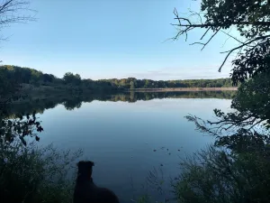Image of Pet Friendly A-Frame Cabin @ Dawson Lake\/Moraine View State Park