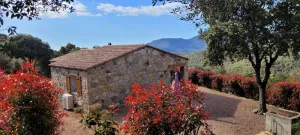 Image of Dry stone cottage with outdoor spa, quietness guaranteed