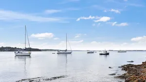 Image of Wangi Dreaming