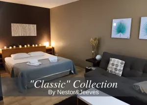 Image of Nestor&Jeeves - RIVOLI PALM - City center - Very close sea