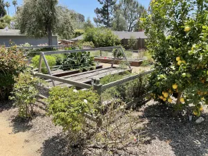 Image of Relaxing Ranch Style House with Garden and Orchard