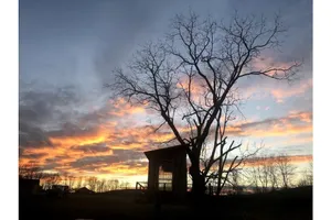 Image of Treehouse at Fairview Farms
