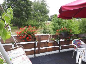 Image of 2-room apartment sunrise in the beautiful Muldental