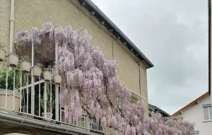 Image of Bel Appartement Dans Petite Copropriété