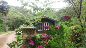 Image of Chalet du Moulin de Hinx