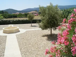 Image of Cosy apartment for 4 guests with A\/C, TV, terrace, pets allowed and parking