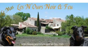 Image of wilderness houses