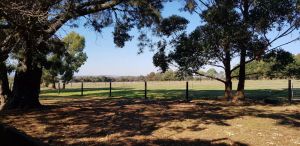 Image of Peaceful cottage retreat an hour from Melbourne